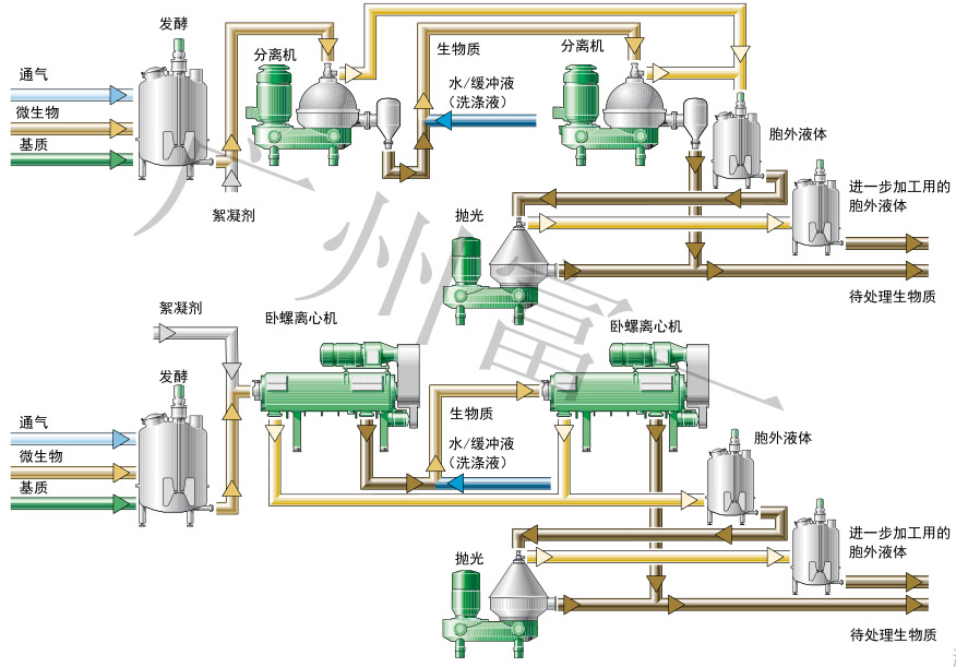 胞外流程2 拷貝.jpg